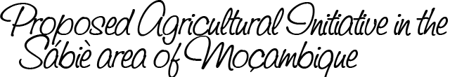 Proposed Agricultural Initiative in the Sábiè area of Moçambique